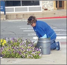 Volunteer Debbie Shahan cleaning out flower beds in front of the Courthouse - making San Saba Beautiful for you!